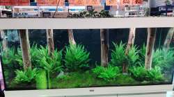 Aquarium Schaubecken / Hornbach Weserpark