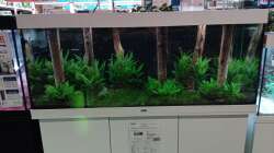 Aquarium Schaubecken / Hornbach Weserpark