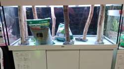 ...aufbau des Hardscapes