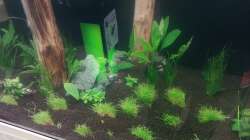 Aquarium Schaubecken / Hornbach Weserpark