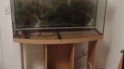 Erster Aufbau des Aquariums nach dem Kauf 