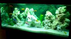 Aquarium Becken 446