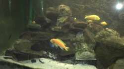 Blick auf die linke Beckenhälfte.