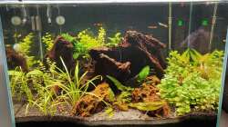 Aquarium Hauptansicht von Becken 44695