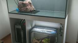 Der grosse Lava-Stein sowie die Strömungspumpen und Wels-Höhlen platziert