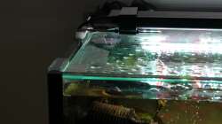 Aufhängung der Deckscheiben und des Leuchtbalken von Juwel