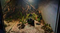 Seitenansicht Dezember 2023 (1.5 Jahre)