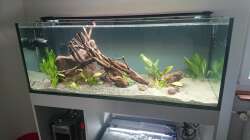 einige Tage nach der Befüllung