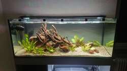 einige Tage nach der Befüllung