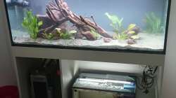 fertig Eingerichtet und befüllt im Juli 2022