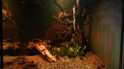 Seitenansicht Februar 2025