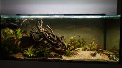 das Becken nach 10 Monaten Laufzeit