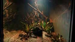 Aquarium im September 2023 Seitenansicht