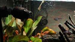 Hydro Wizard ecm 42 pro