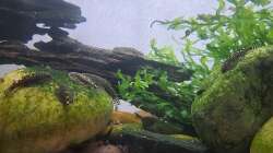 16.06.2025 Sie sind groß geworden