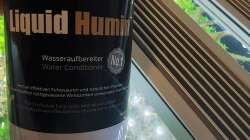 Nach dem Wasserwechsel am 21.12.2025