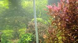 Seitenansicht am 21.12.2025