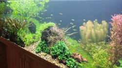 Ansicht am 21.12.2025