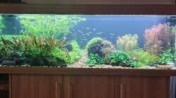 Hauptbild v. 21.12.2025 direkt nach dem WW