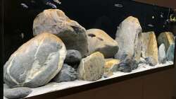 Aquarium 1st Mbuna Tank