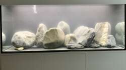 2. Einrichtungsversuch 