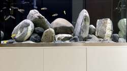 Hurra. Fische sind da!