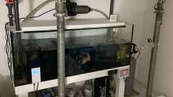 Technik im Aquarium 875 Liter Südamerika-Gesellschaft