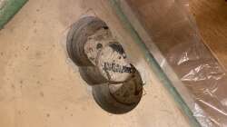 Technik im Aquarium 875 Liter Südamerika-Gesellschaft