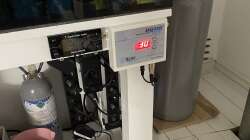 Technik im Aquarium 875 Liter Südamerika-Gesellschaft