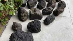 Dekoration im Aquarium 875 Liter Südamerika-Gesellschaft