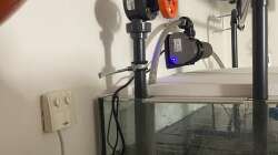 Technik im Aquarium 875 Liter Südamerika-Gesellschaft