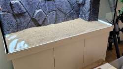 Dekoration im Aquarium Juwel RIO 350