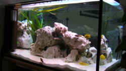 Aquarium Becken 460
