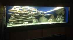 Dekoration im Aquarium Becken 4654