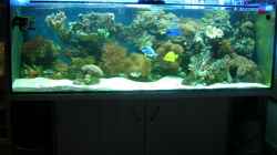 Aquarium Becken 4655