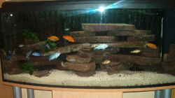 Aquarium Becken 470