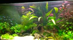 Delta 70x70x50x25/25