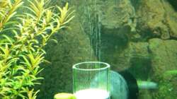 Elos CO2 Zerstäuber