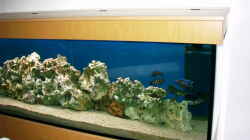 Aquarium Becken 491