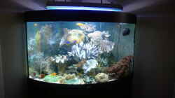 Aquarium Becken 4987
