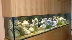 Aquarium Becken 5147