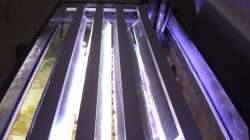 Technik im Aquarium Meerwasser 180l