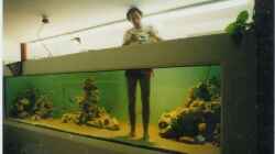 Aquarium Becken 5187