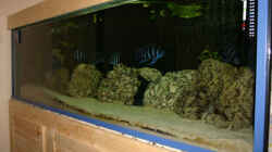 Aquarium Becken 533