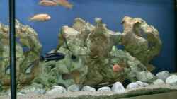 Dekoration im Aquarium Becken 534