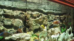 Aquarium Becken 559