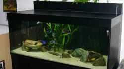 Aquarium Becken 585