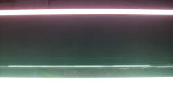 Dennerle Amazon Day, JBL Colour