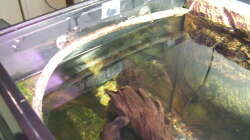 Mondlichtleiste (20 LED)