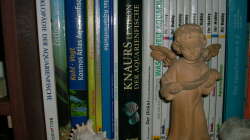 Meine Aquarienbücher